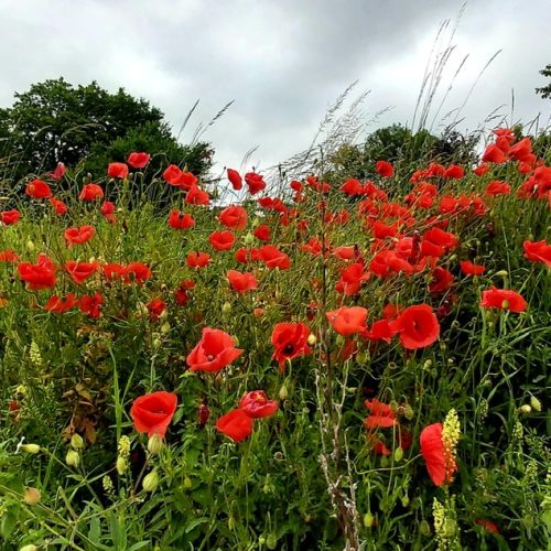 Katharina Müller-Hora Coaching für mehr Balance im Leben